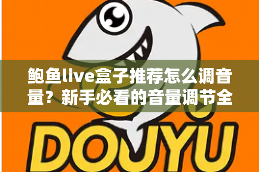 鲍鱼live盒子推荐怎么调音量？新手必看的音量调节全攻略与实用设置技巧