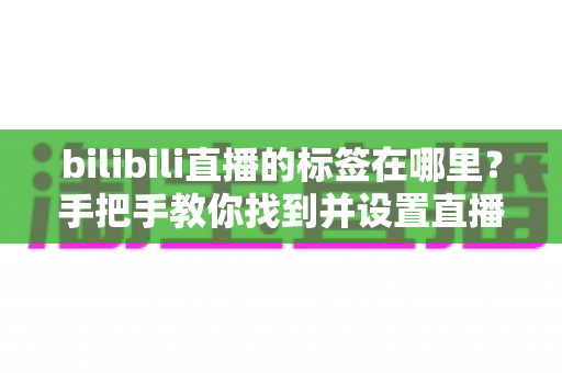 bilibili直播的标签在哪里？手把手教你找到并设置直播标签的完整指南