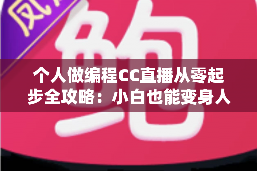 个人做编程CC直播从零起步全攻略:小白也能变身人气技术主播的实战指南 个人做编程CC直播从零起步全攻略:小白也能变身人气技术主播的实战指南