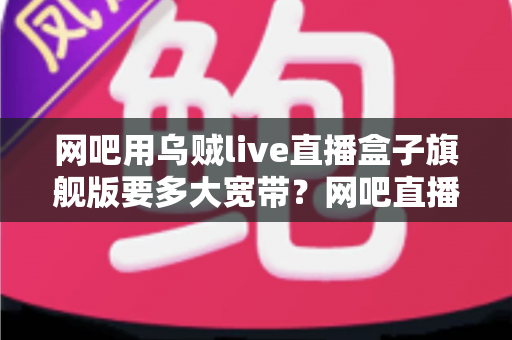 网吧用乌贼live直播盒子旗舰版要多大宽带？网吧直播带宽配置全攻略