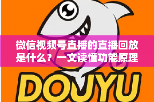 微信视频号直播的直播回放是什么?一文读懂功能原理、使用方法与运营价值 微信视频号直播的直播回放是什么?一文读懂功能原理、使用方法与运营价值