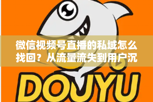 微信视频号直播的私域怎么找回？从流量流失到用户沉淀的全链路解决方案