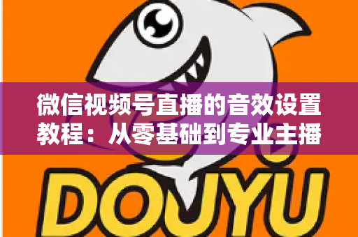 微信视频号直播的音效设置教程：从零基础到专业主播的完整音质优化指南，快速提升直播间听感体验