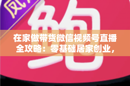 在家做带货微信视频号直播全攻略：零基础居家创业，一部手机开启副业变现之路
