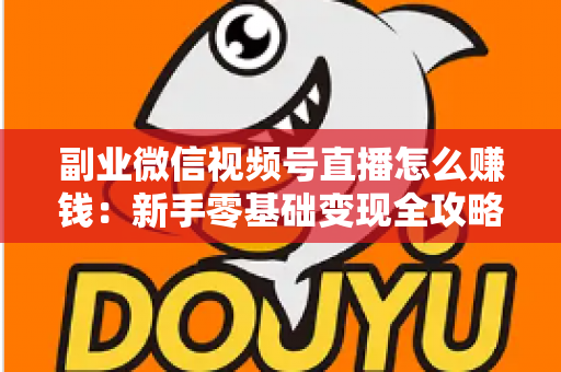 副业微信视频号直播怎么赚钱:新手零基础变现全攻略与实操指南 副业微信视频号直播怎么赚钱:新手零基础变现全攻略与实操指南