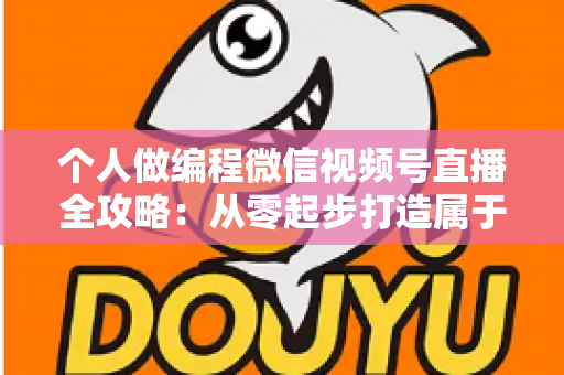 个人做编程微信视频号直播全攻略：从零起步打造属于你的技术影响力与变现之路