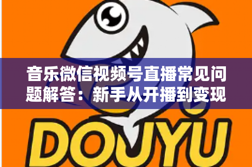音乐微信视频号直播常见问题解答：新手从开播到变现的全方位实用指南
