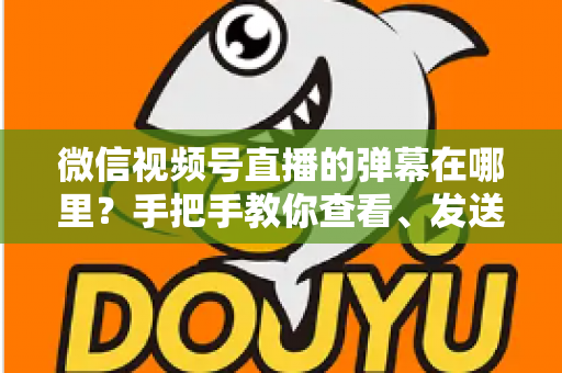 微信视频号直播的弹幕在哪里?手把手教你查看、发送与管理弹幕的完整指南 微信视频号直播的弹幕在哪里?手把手教你查看、发送与管理弹幕的完整指南