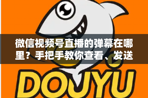 微信视频号直播的弹幕在哪里?手把手教你查看、发送与管理弹幕的完整指南 微信视频号直播的弹幕在哪里?手把手教你查看、发送与管理弹幕的完整指南