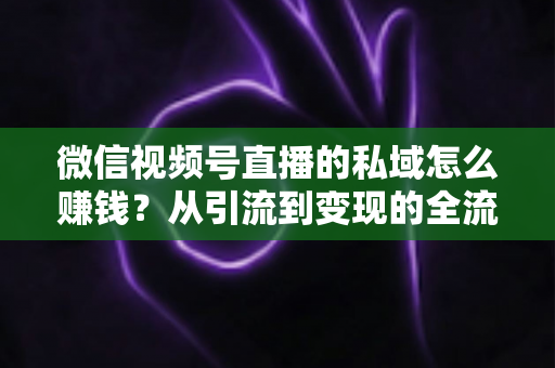 微信视频号直播的私域怎么赚钱?从引流到变现的全流程实战指南 微信视频号直播的私域怎么赚钱?从引流到变现的全流程实战指南