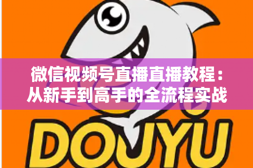 微信视频号直播直播教程:从新手到高手的全流程实战指南 微信视频号直播直播教程:从新手到高手的全流程实战指南
