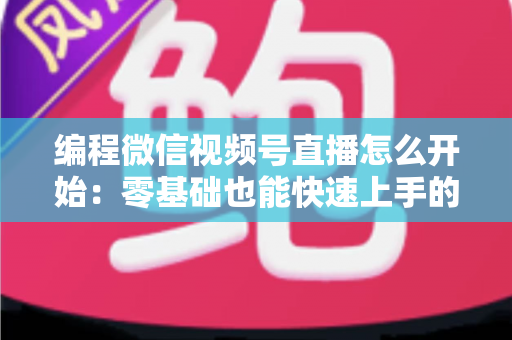 编程微信视频号直播怎么开始:零基础也能快速上手的开播全攻略 编程微信视频号直播怎么开始:零基础也能快速上手的开播全攻略