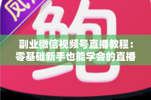 副业微信视频号直播教程:零基础新手也能学会的直播变现实战指南 副业微信视频号直播教程:零基础新手也能学会的直播变现实战指南