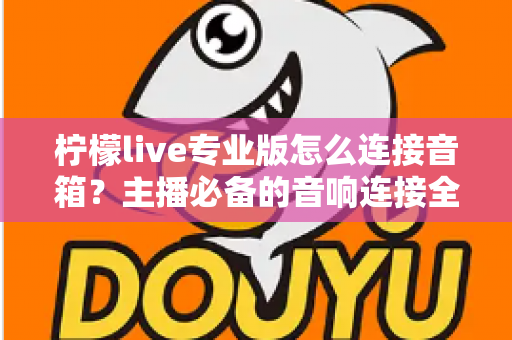 柠檬live专业版怎么连接音箱？主播必备的音响连接全流程指南与音质优化技巧