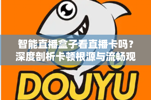 智能直播盒子看直播卡吗？深度剖析卡顿根源与流畅观看全攻略