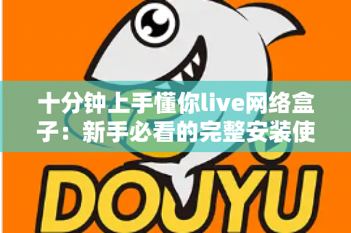 十分钟上手懂你live网络盒子：新手必看的完整安装使用指南